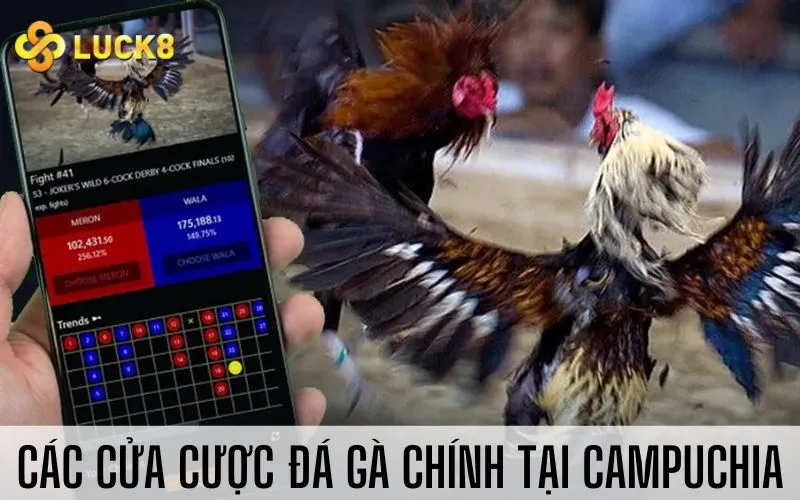 Các cửa cược đá gà chính tại Campuchia