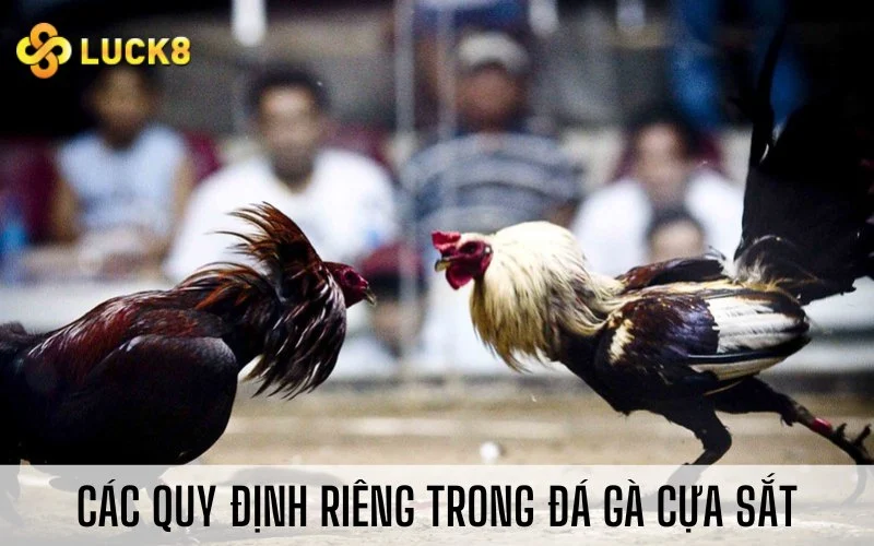 Các quy định riêng trong đá gà cựa sắt