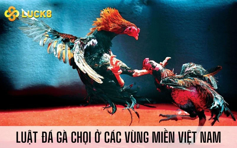 Luật đá gà chọi ở các vùng miền Việt Nam